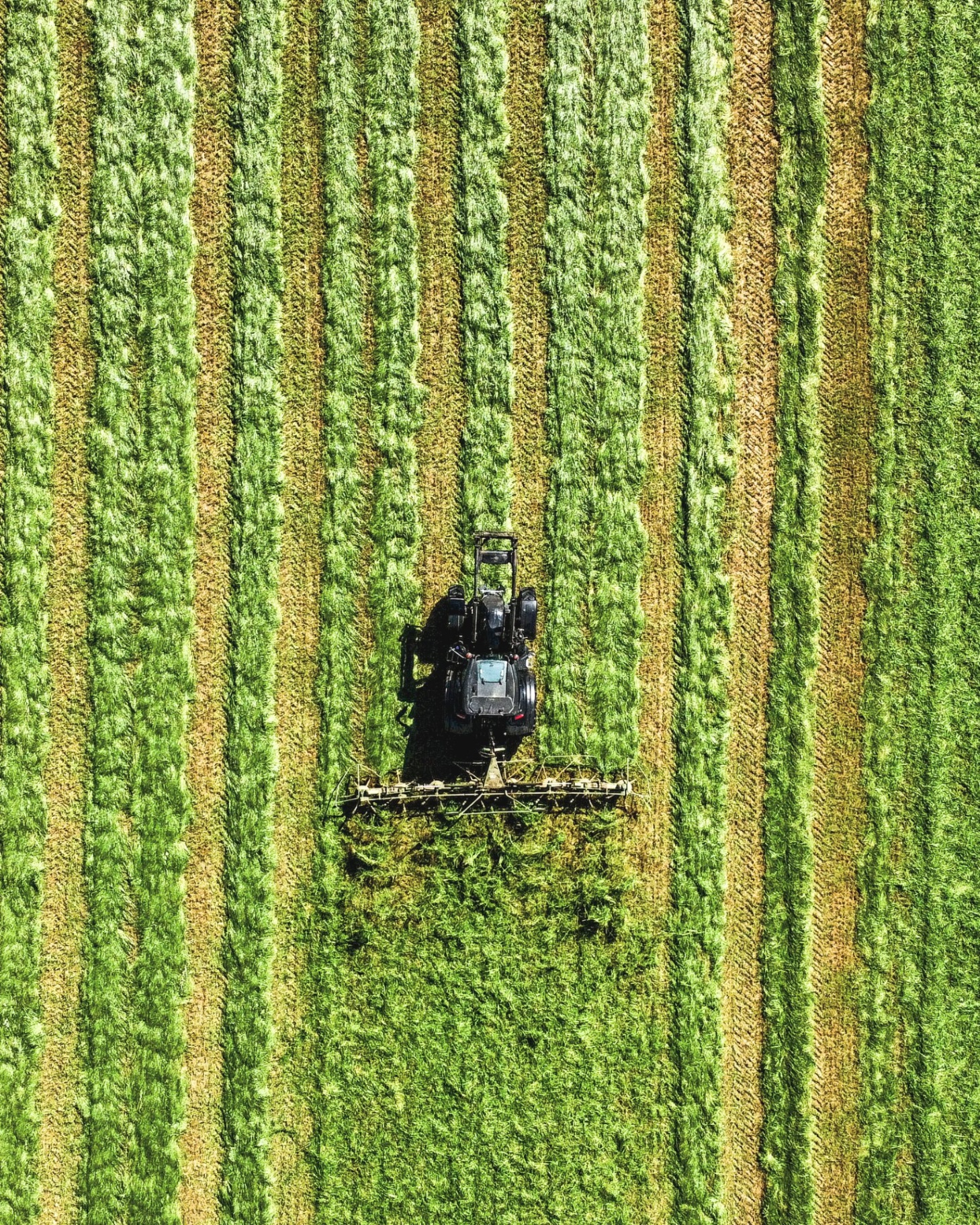 Agroindústria