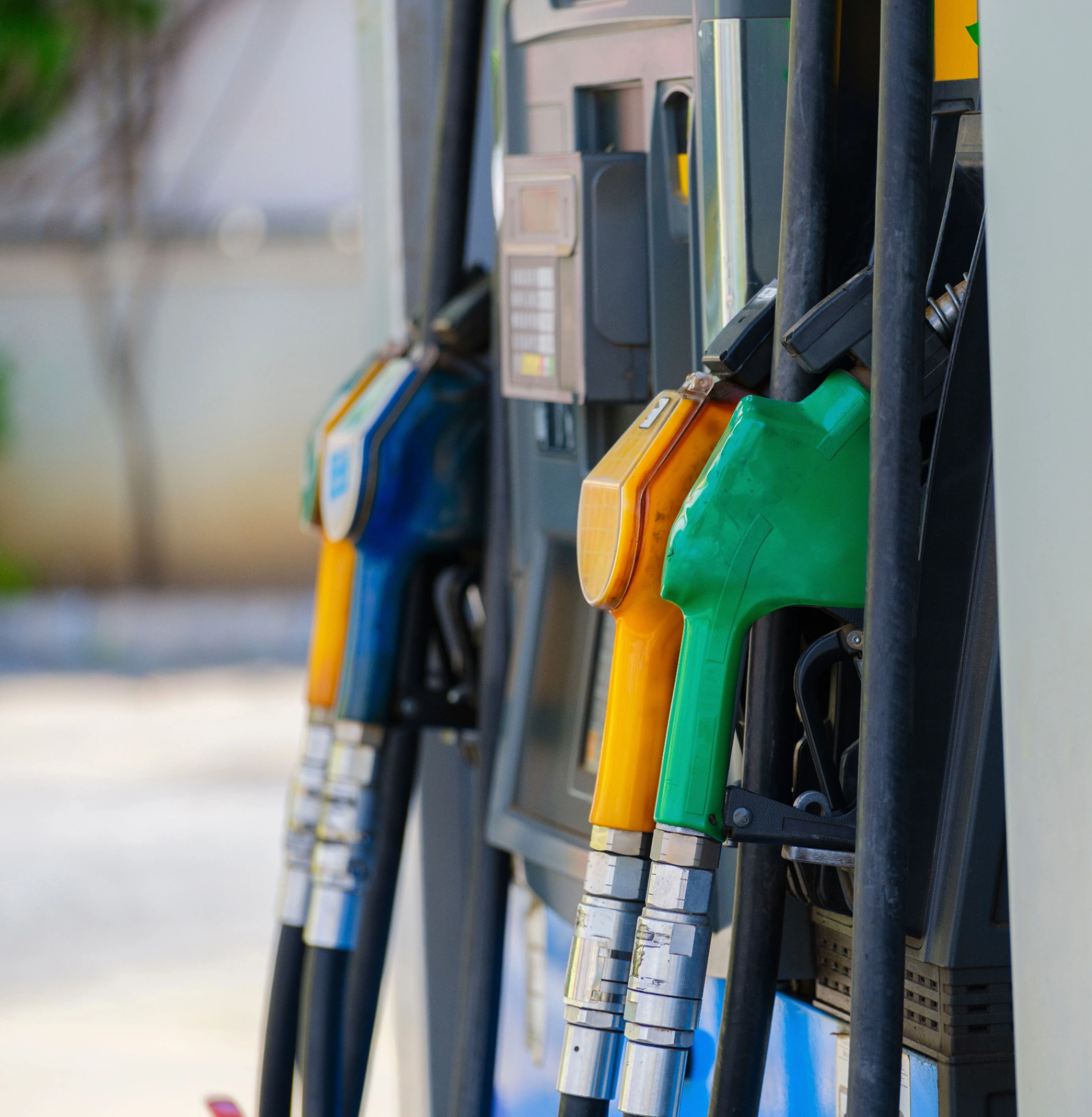 Biodiesel & Biogás